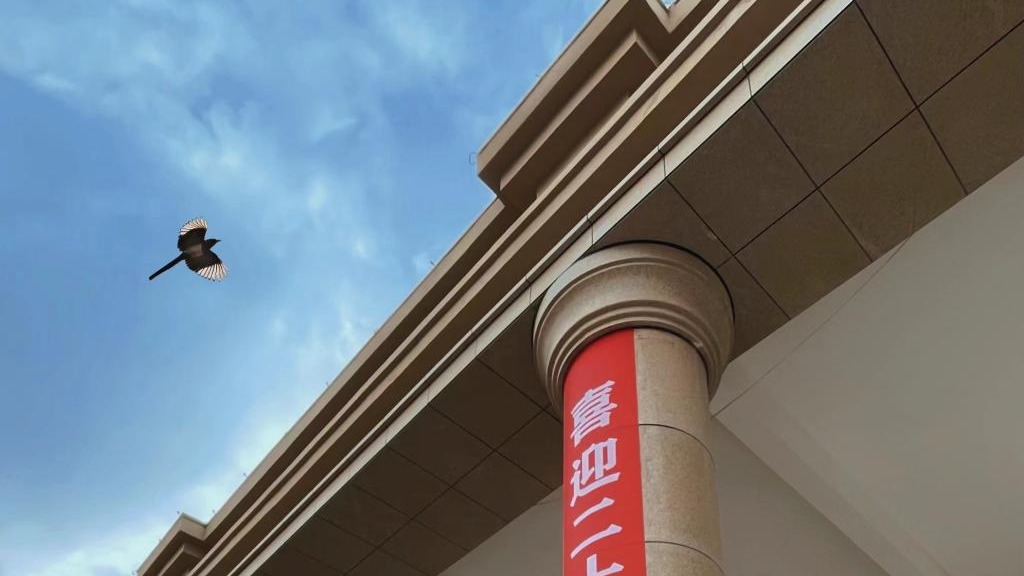 beat365官网唯一入口师生喜迎二十大（组图）