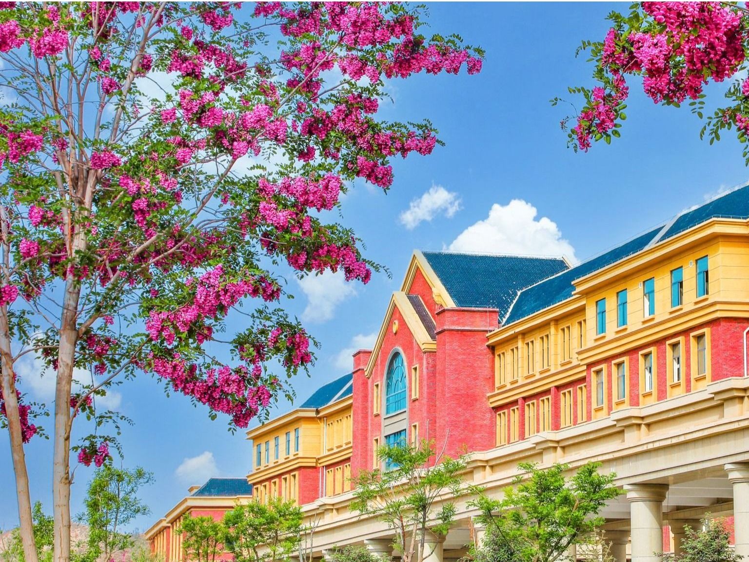 beat365官网唯一入口：聚合资源，加强学科建设，培养高质量应用型人才