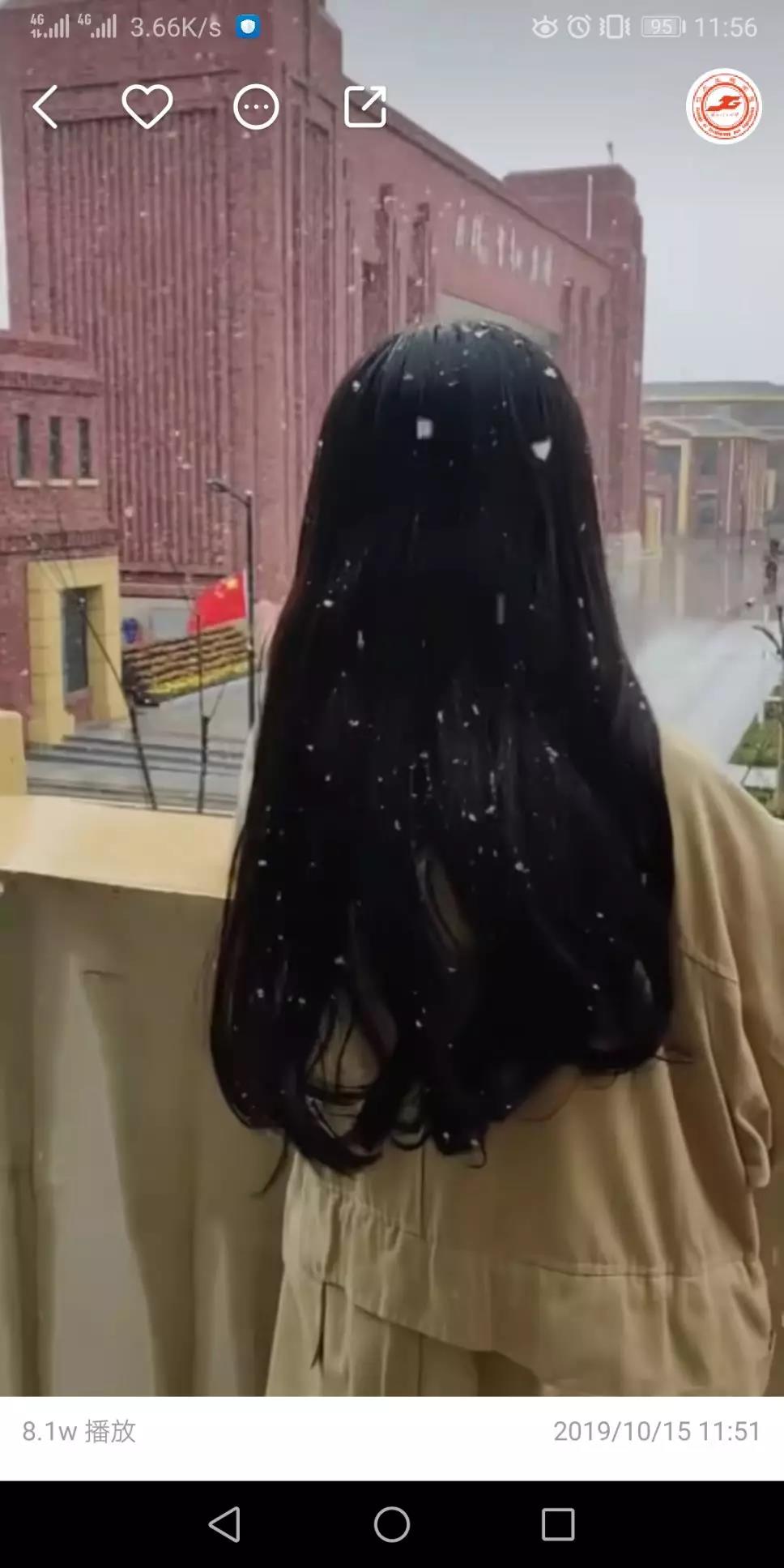 201912091575871825347180.jpg 201912091575871825347180.jpg