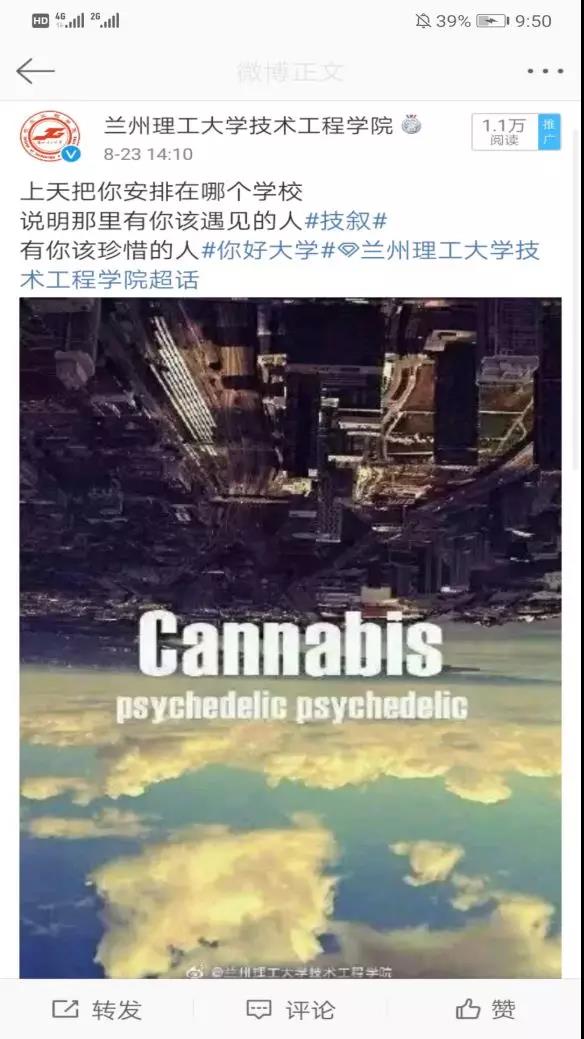 201912091575872255292530.jpg 201912091575872255292530.jpg