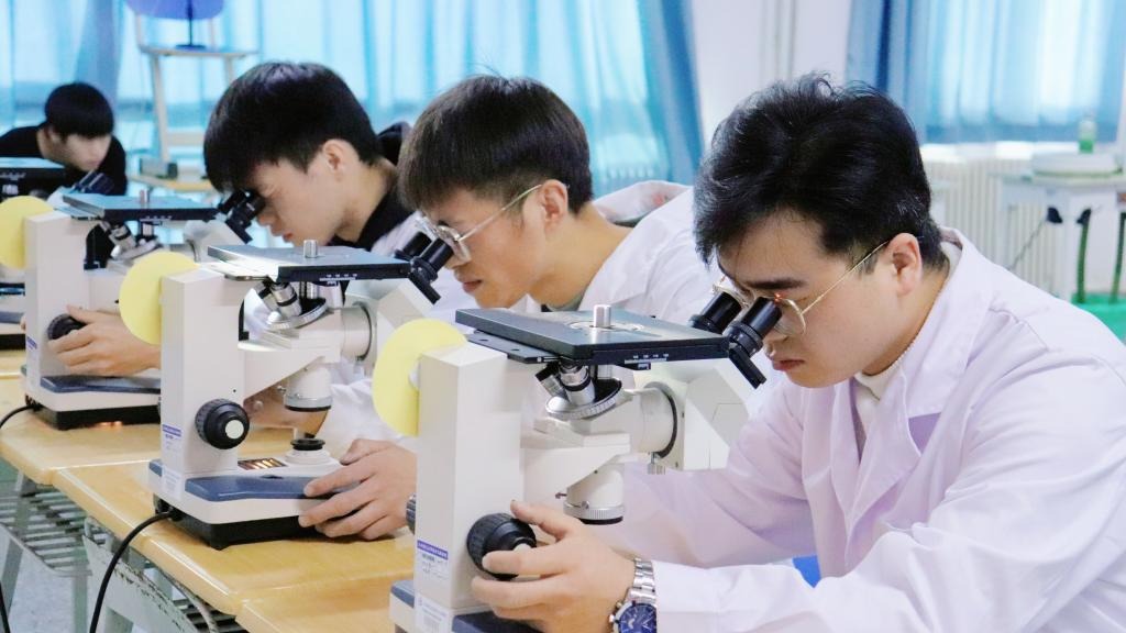 徕卡杯”第十一届全国大学生金相技能大赛决赛beat365官网唯一入口分赛场圆满落幕